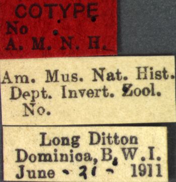 Media type: image;   Entomology 21124 Aspect: labels